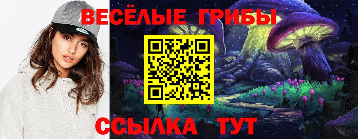 Псилоцибиновые грибы мицелий  Вход с VPN  Дербент 